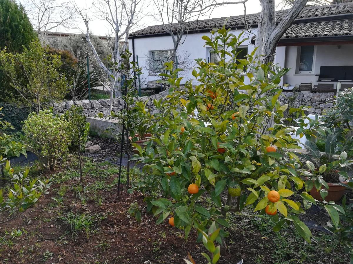 Casa Degli Avi Don Neli, Immersa Nella Natura Modica Exterior photo
